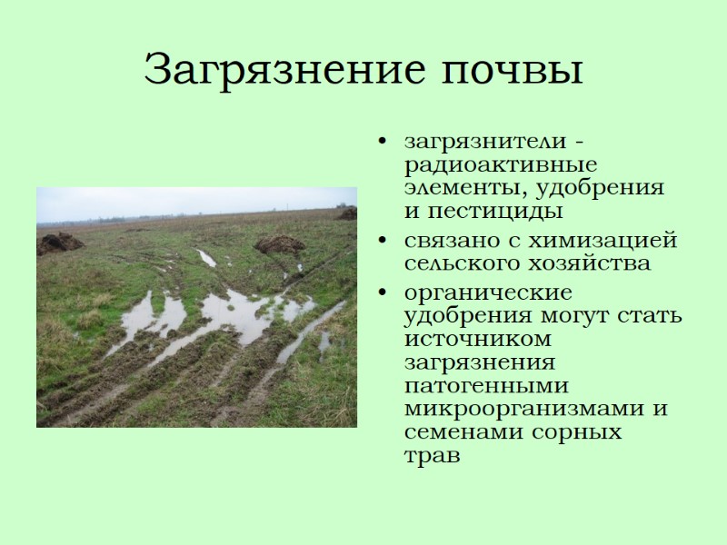 Загрязнение почвы загрязнители - радиоактивные элементы, удобрения и пестициды связано с химизацией сельского хозяйства